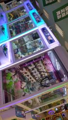 -莫莉幻想儿童乐园(武汉金银潭永旺店)