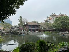-顺峰山公园