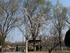 -燕郊植物园