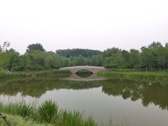 -东郊湿地公园