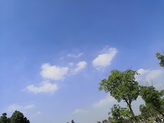 -官亭林海