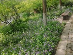 -杭州师范大学(下沙校区)