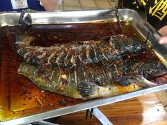 黔鱼-金海椒罐罐鲢鱼(东方桂苑店)