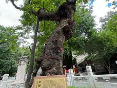 -潭柘寺景区