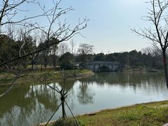 -上海海湾国家森林公园