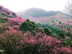 -溪口-滕头旅游景区