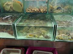 -班赞海鲜市场