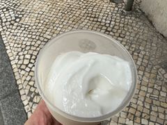 -洪馨椰子