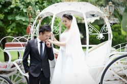 -金夫人婚纱摄影(华南店)