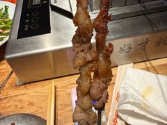 -邢氏老太太烤串(北兴街店)