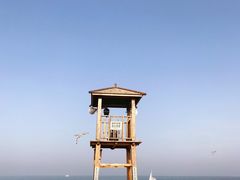 -日照海滨国家森林公园