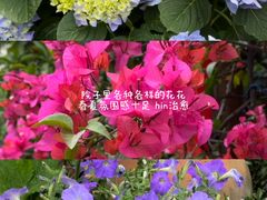 -田园印象·成都土菜院子(华阳店)