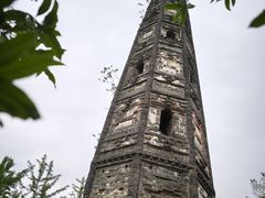 -上海佘山国家森林公园天马山园