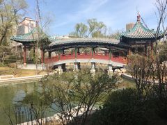-迎泽公园