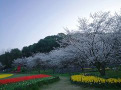 -苏州上方山国家森林公园