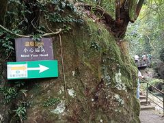 -千泷沟大瀑布旅游区