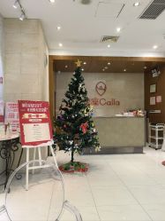 -银座Calla日式美容沙龙