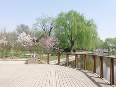 -石家庄市植物园