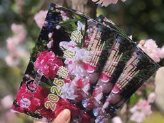 -南汇桃花村