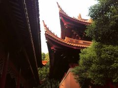 -亭林园-华藏寺