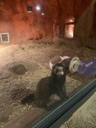 -酷嗒动物文化乐园(cutezoo西溪乐天城店)