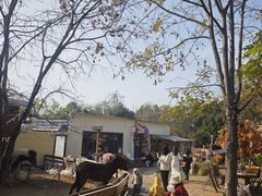 -HERRE·FARM 赫尔露营农场·团建聚会包场