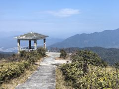 -广州市流溪河国家森林公园