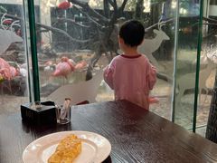 -白虎自助餐厅·真老虎·景观自助餐厅(广州长隆酒店)