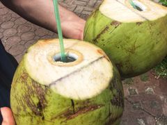-麦哲伦十字架