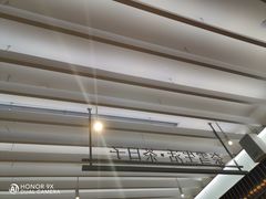 -奈雪的茶(花城汇中区PRO店)