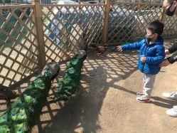 -萌宠亲子动物乐园(槐房万达店)