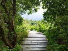 -白草畔自然风景区