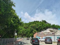 -梧桐山风景名胜区