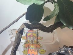 -阜昌典当行(阜成门店)