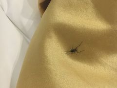 -广州克莱顿酒店