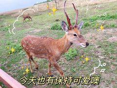 -良渚古城遗址公园