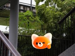 -生如夏花泰式火锅(西村黑金店)