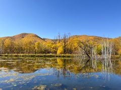 -洮儿河国家湿地公园