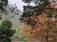 -渣滓洞
