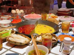 -朱光玉火锅馆(正弘城店)