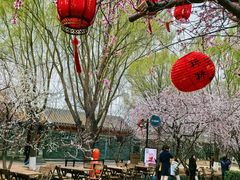-春风习习