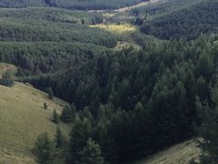 -塞罕坝国家级自然保护区