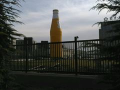 -百年义利(北兴路店)
