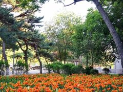 -东北大学(南湖校区)