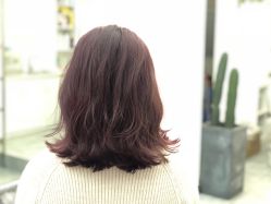 点击看大图 -YDO SALON
