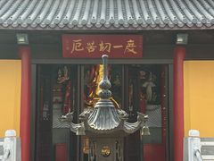 -灵谷景区
