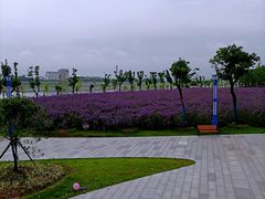 -汉江湾体育公园