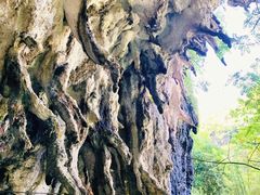 -华蓥山天意谷景区