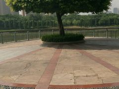 -怡海公园(桂城街道)