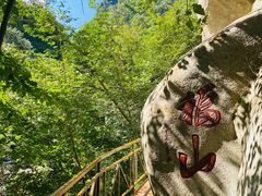 -青峰峡国家森林公园